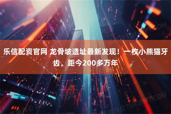 乐信配资官网 龙骨坡遗址最新发现！一枚小熊猫牙齿，距今200多万年